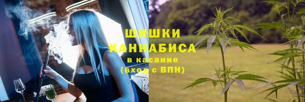 гашик Нефтекумск