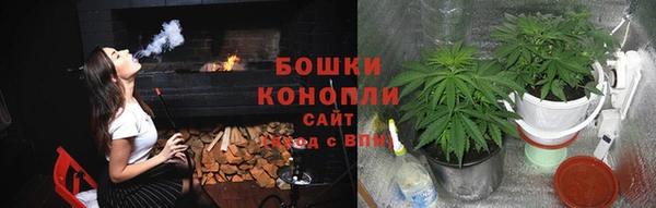 МДПВ Бежецк