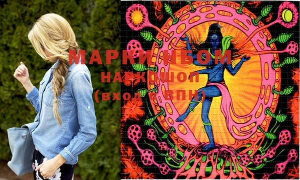 стафф Новодвинск