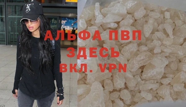 гашик Нефтекумск