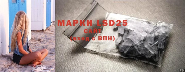 гашик Нефтекумск